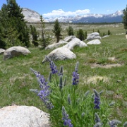 RuggedPeak 024 : RuggedPeak